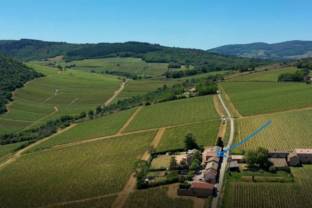 Prissé Le Tinailler Grand Standing Au Coeur Des Vignes 빌라 외부 사진