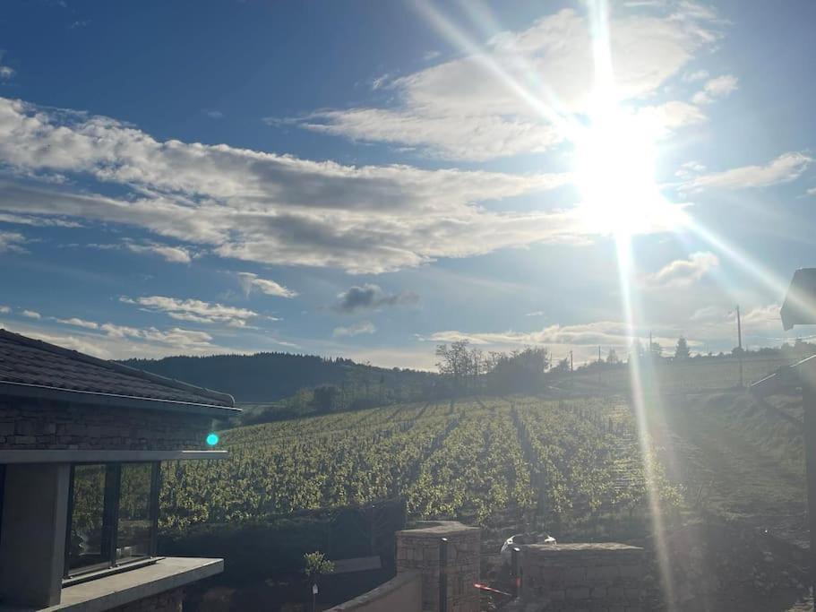 Prissé Le Tinailler Grand Standing Au Coeur Des Vignes 빌라 외부 사진